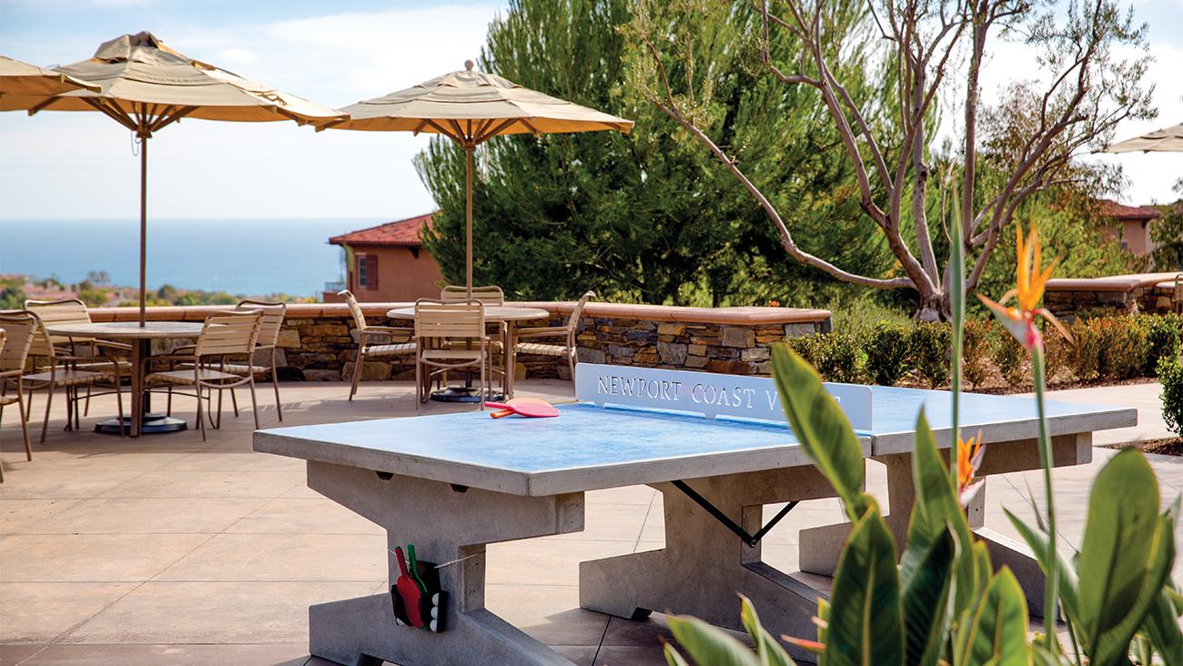 Ping Pong Table